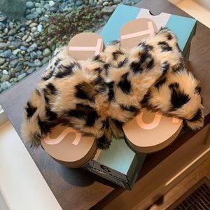TOMS